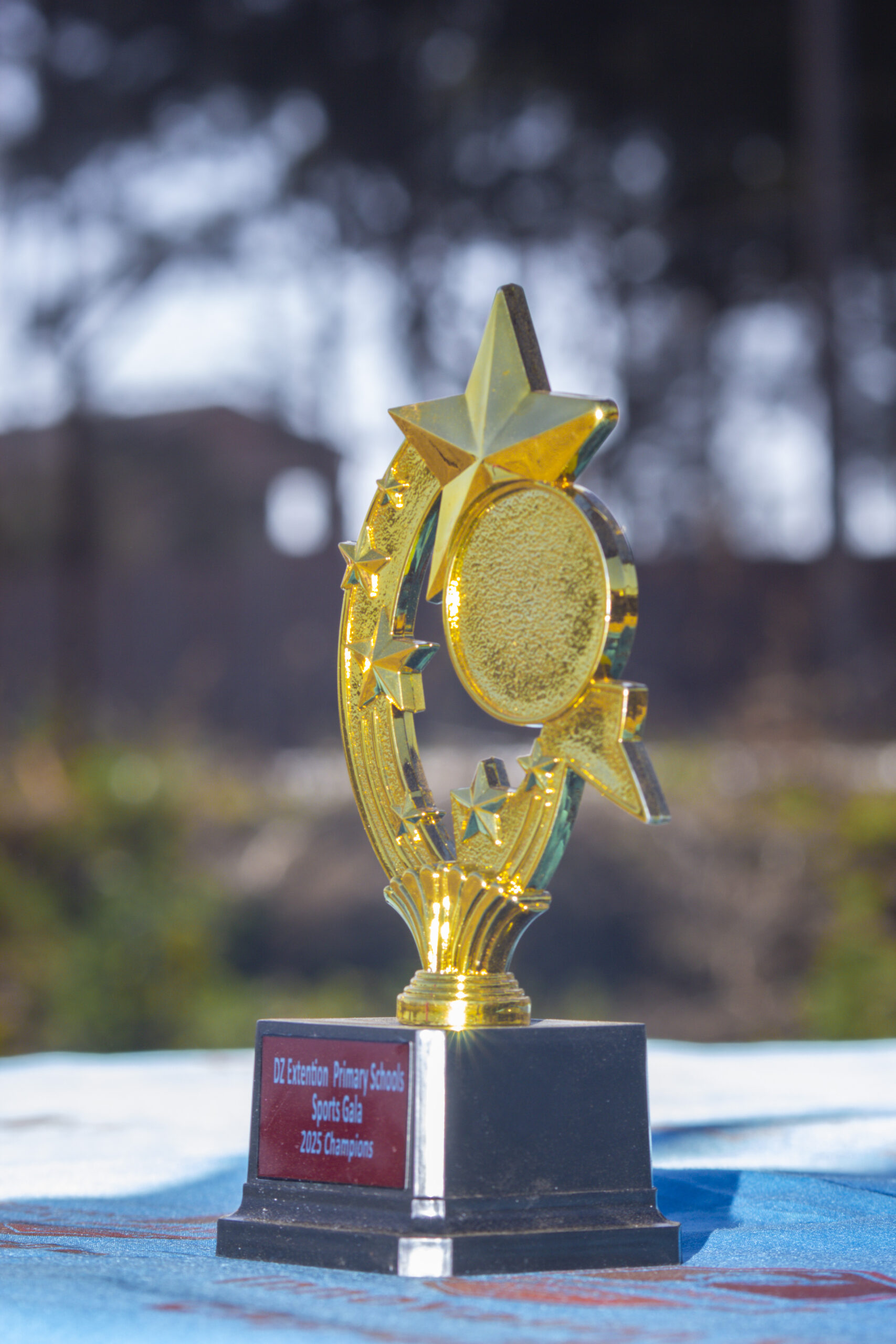 sports gala 13